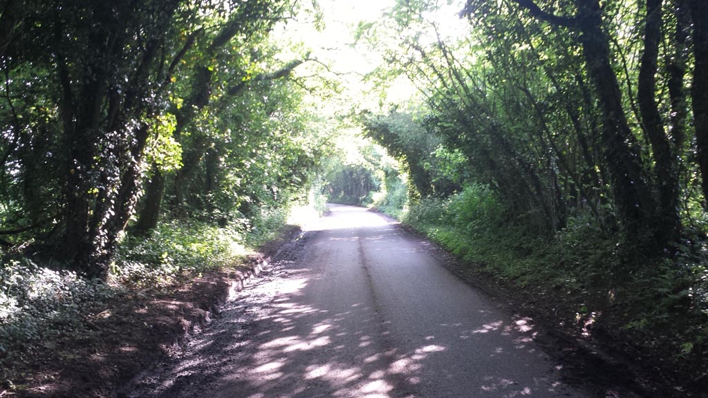 20130531_173034.jpg