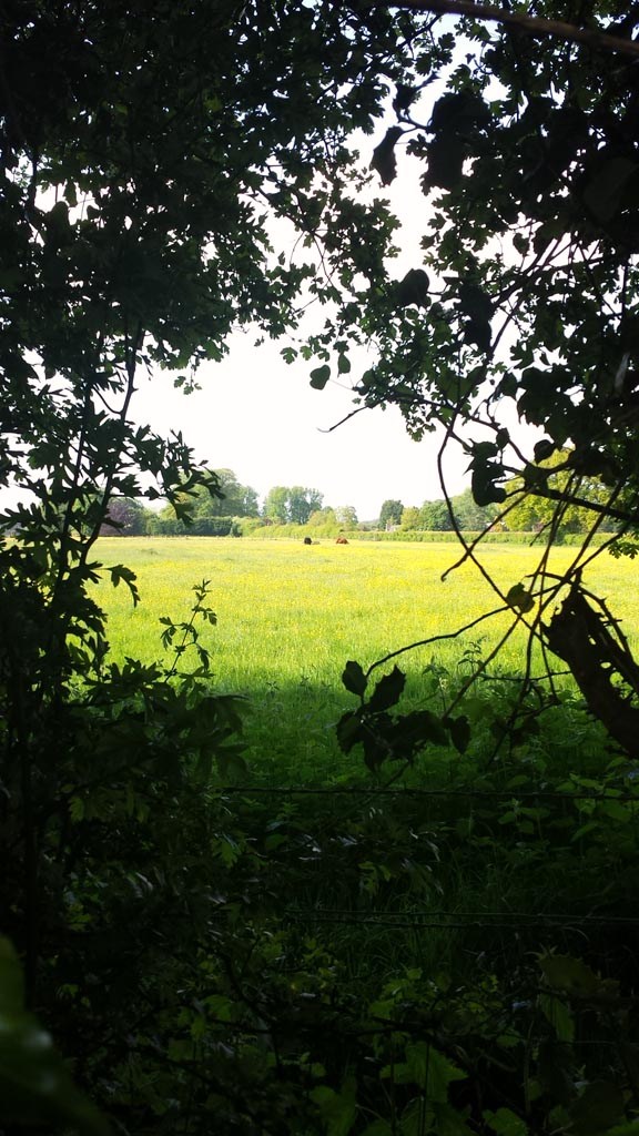 20130531_175120.jpg