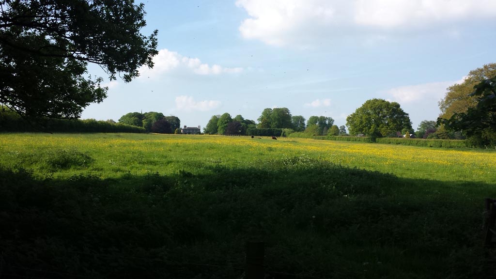 20130531_175211.jpg