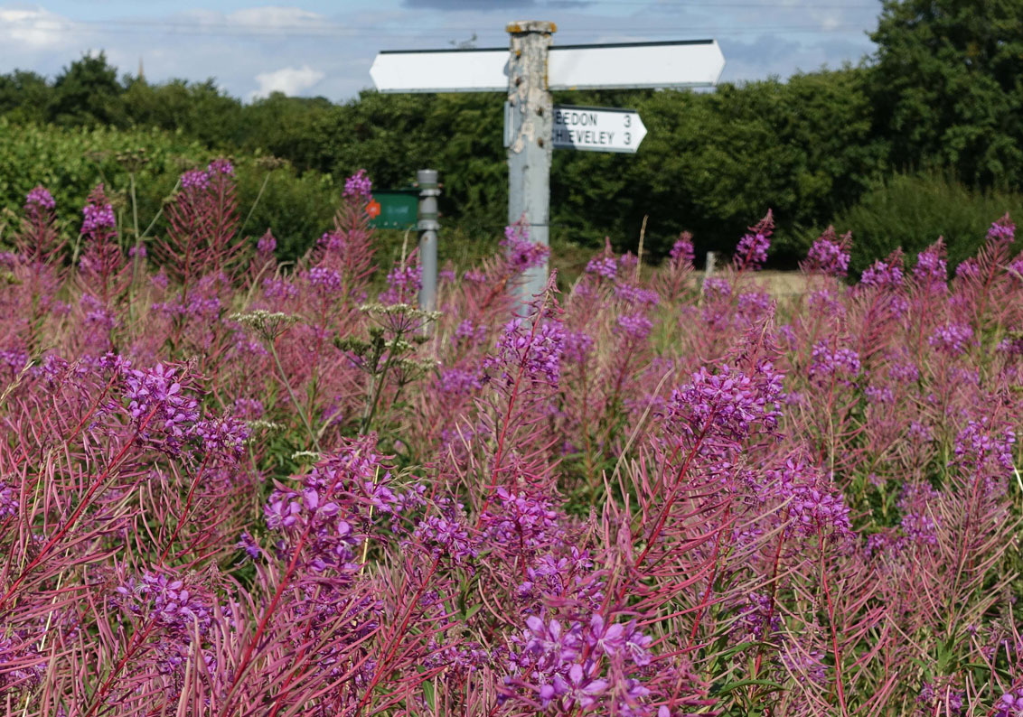 2015-07-25-002.jpg