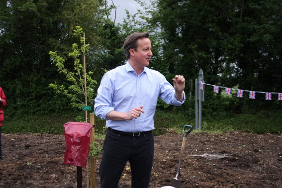 cameron.jpg