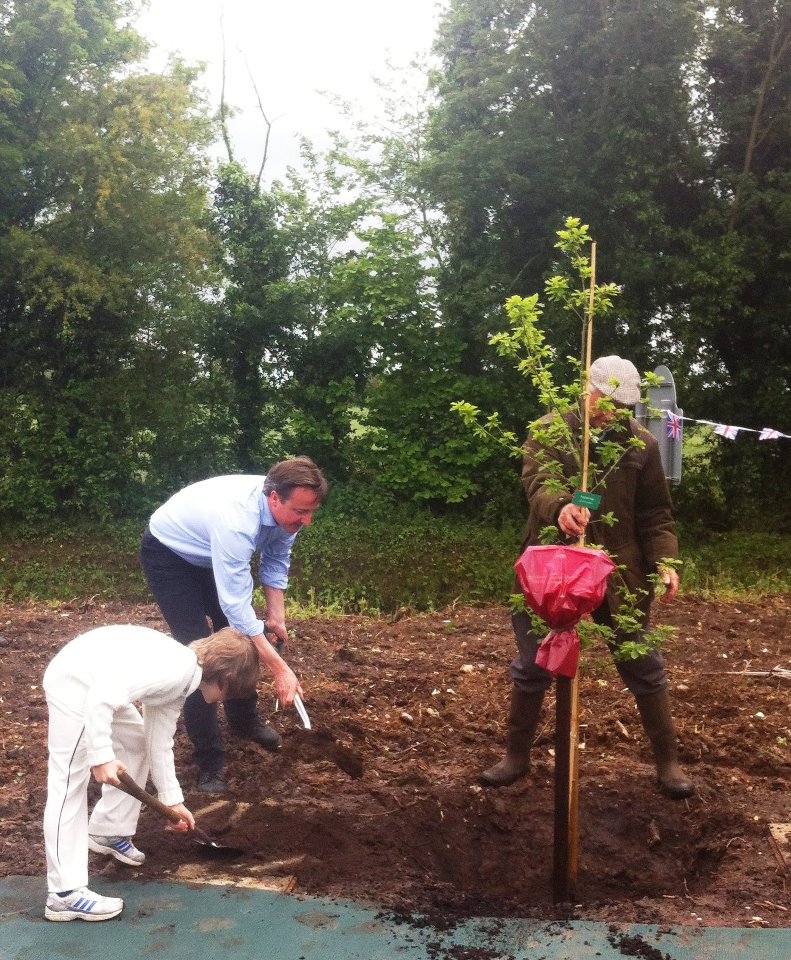 cameronplanting.jpg