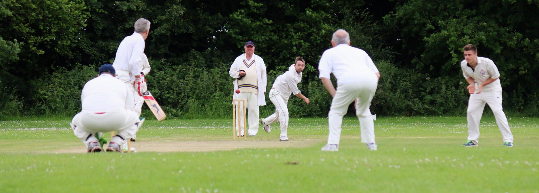 cricket1.jpg