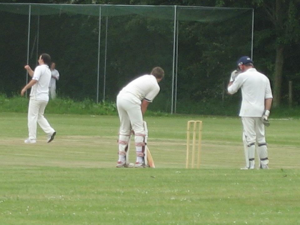 cricket15.jpg