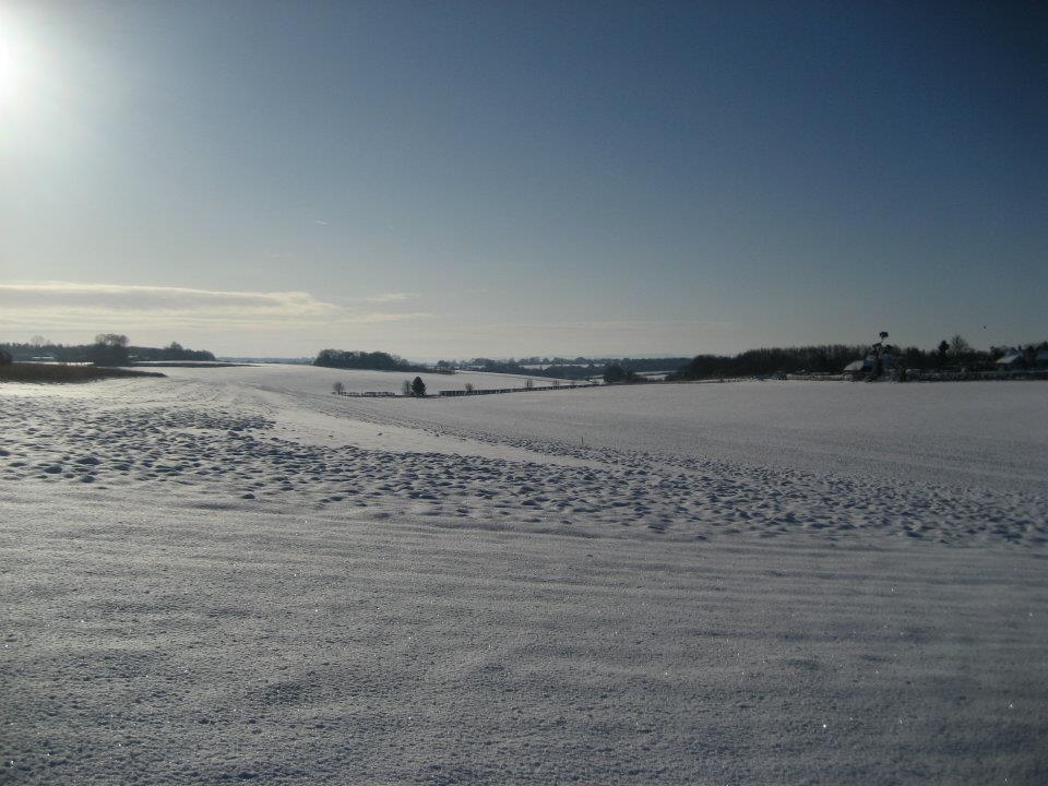 snow2.jpg