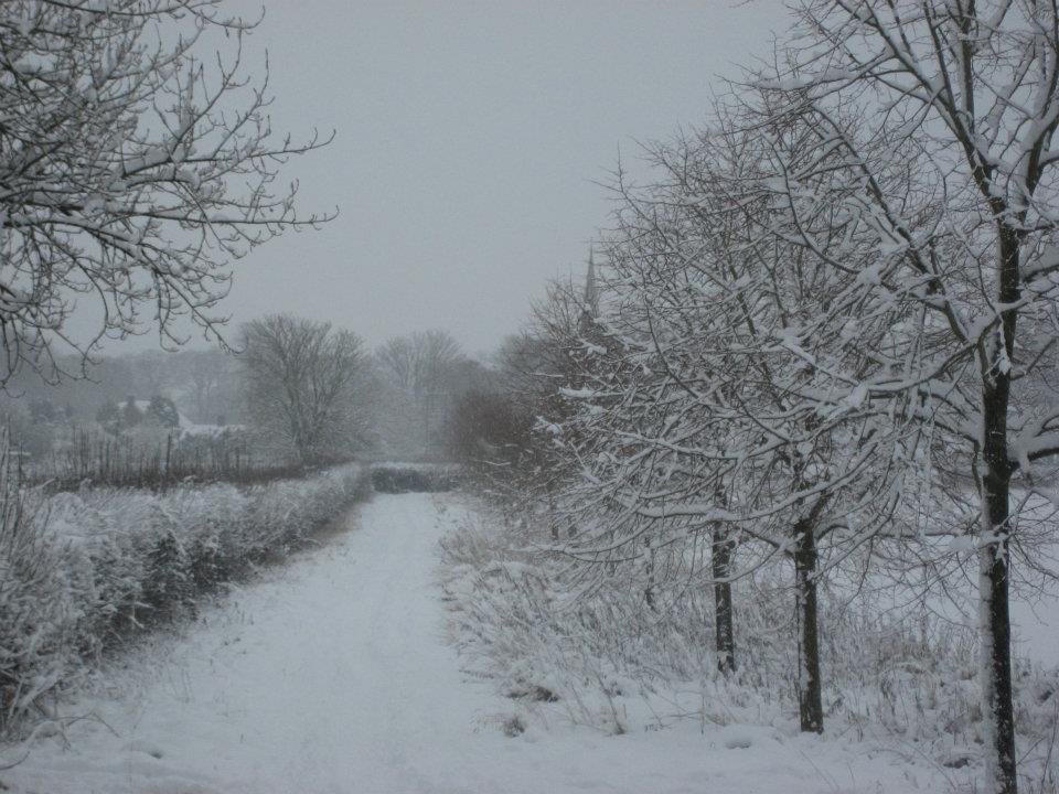 snow3.jpg