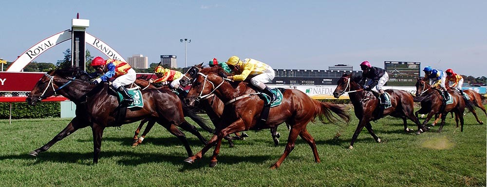 RaceNight HorsesPic